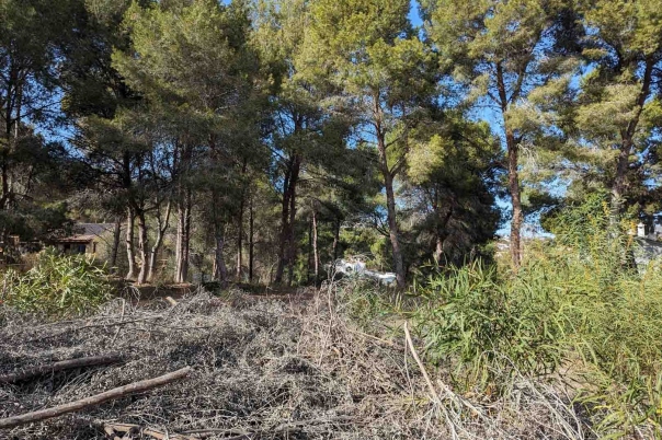 plot in Moraira