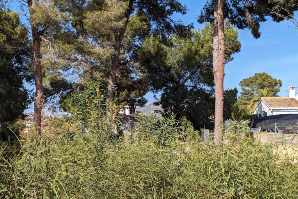 plot in Moraira