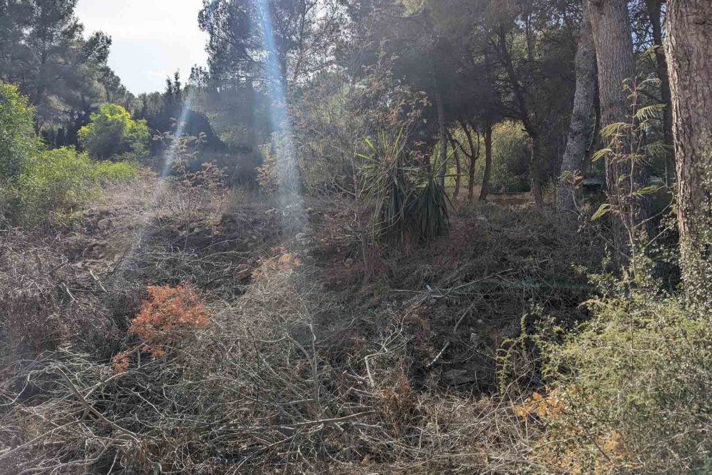 plot in Moraira