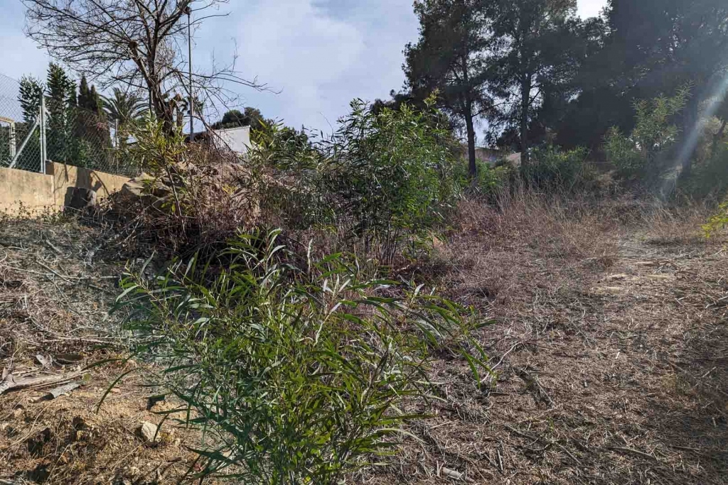 plot in Moraira