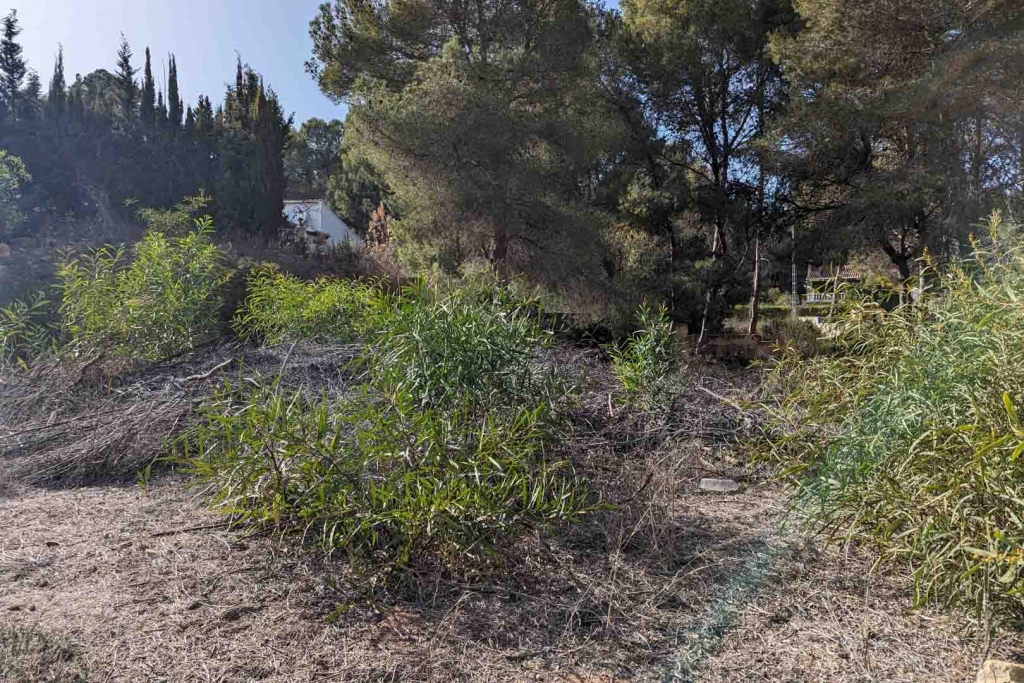 plot in Moraira