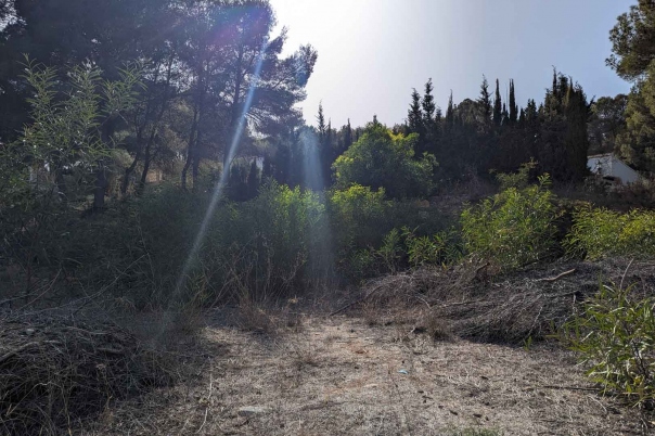 plot in Moraira