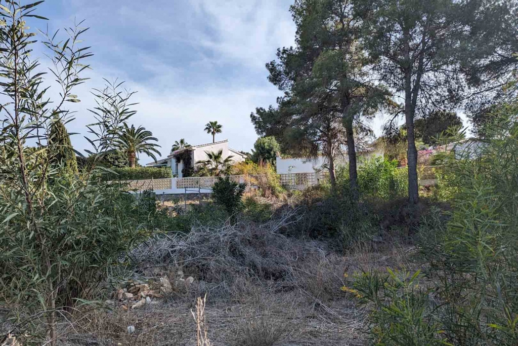 plot in Moraira