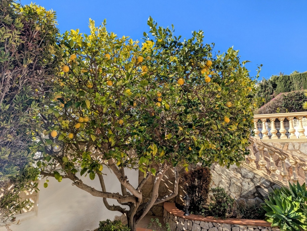 4 bed villa in Moraira
