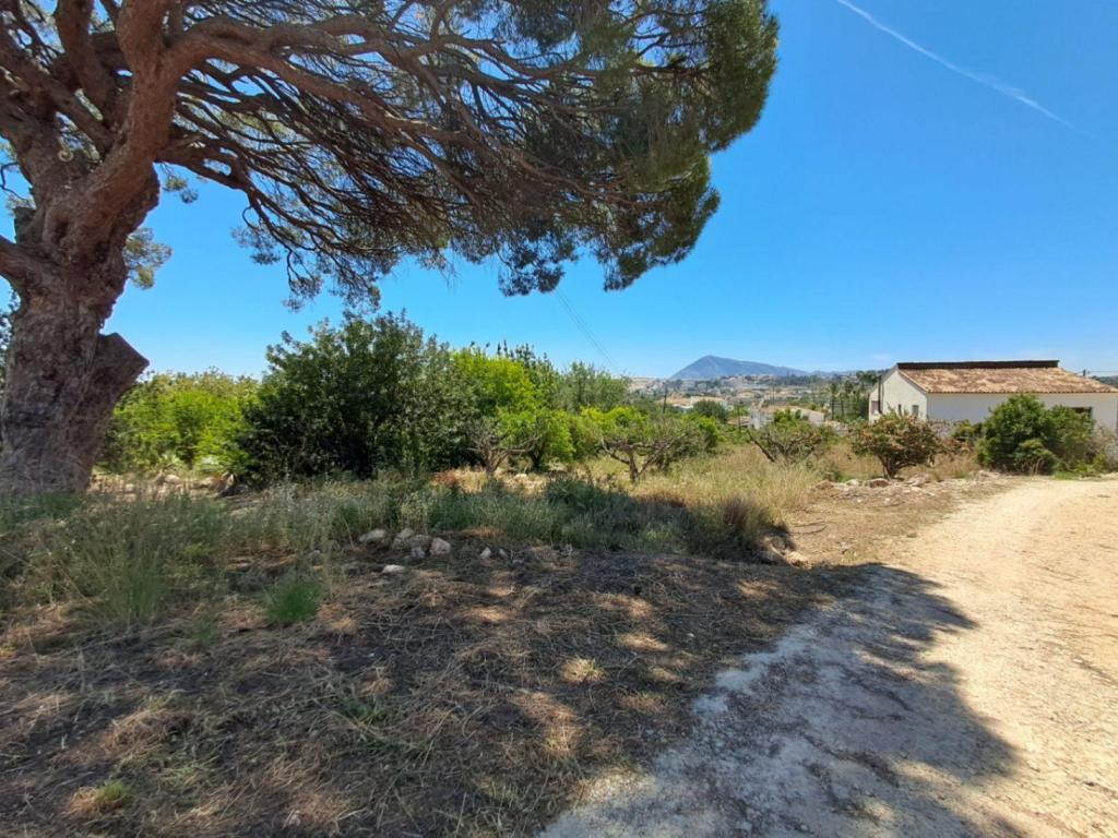 plot in Altea