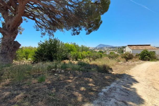 plot in Altea