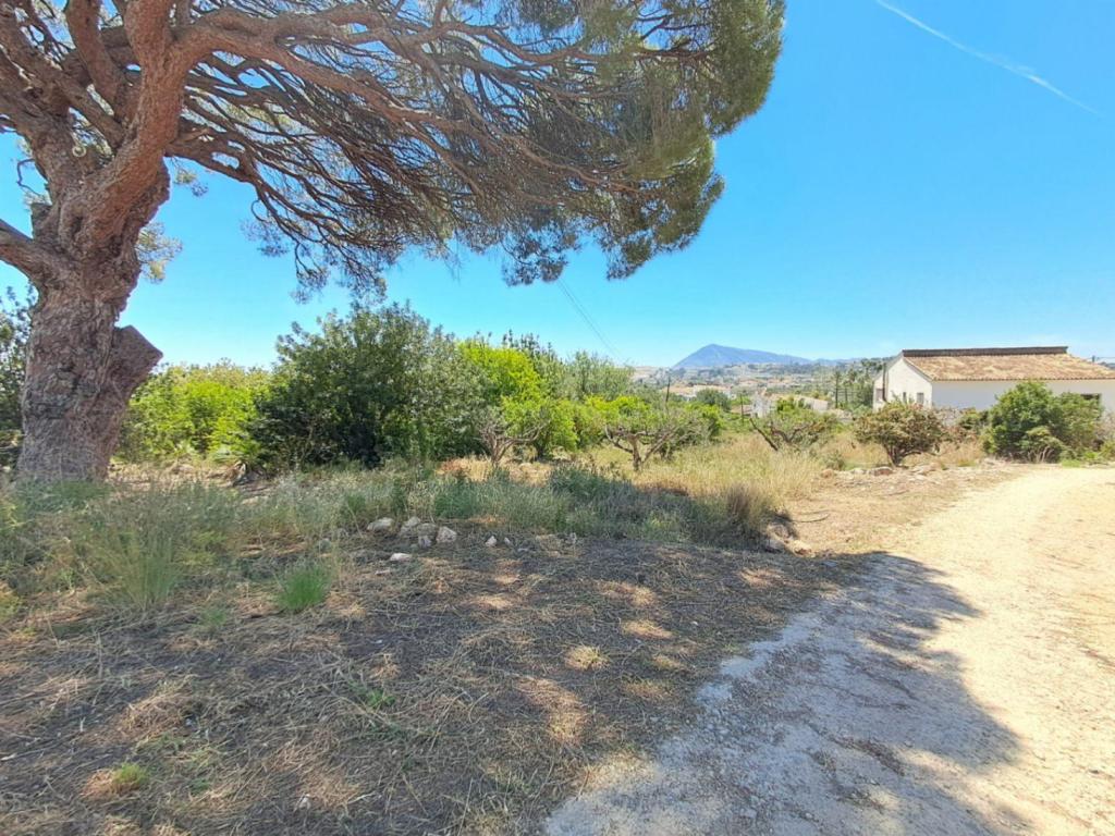 plot in Altea