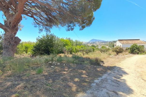 plot in Altea
