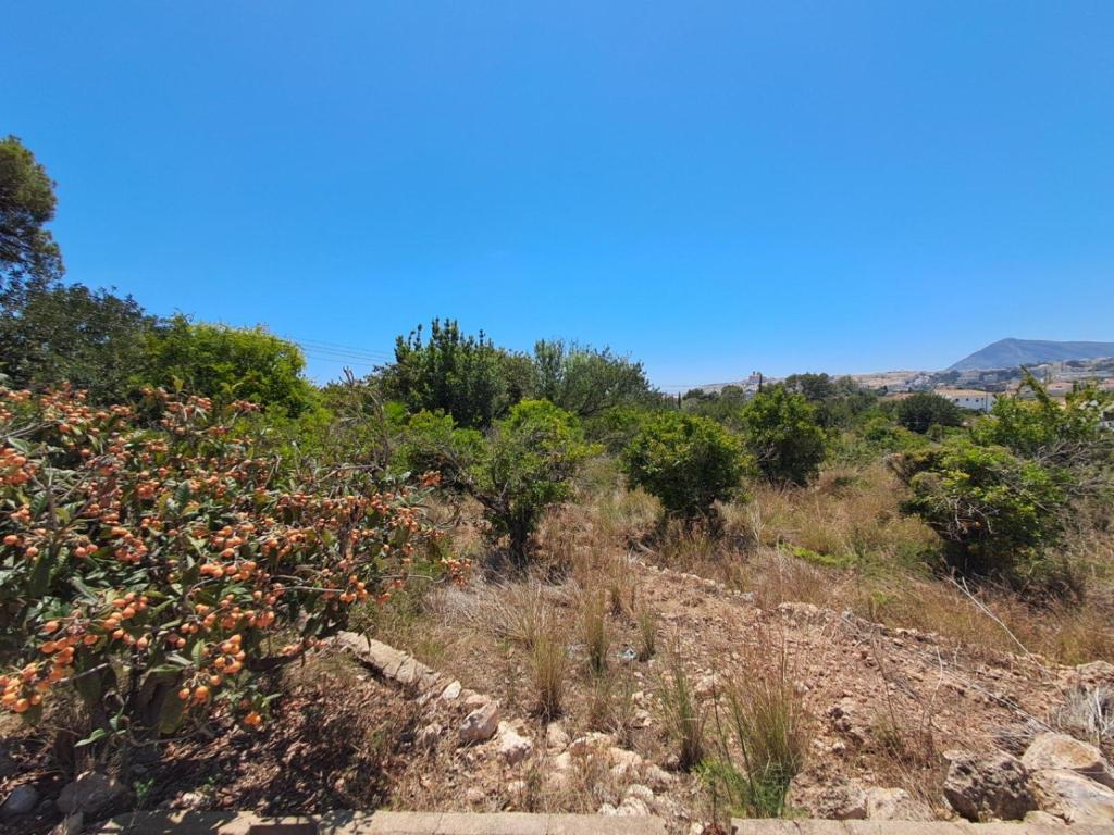 plot in Altea