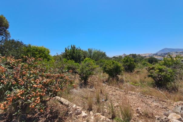plot in Altea