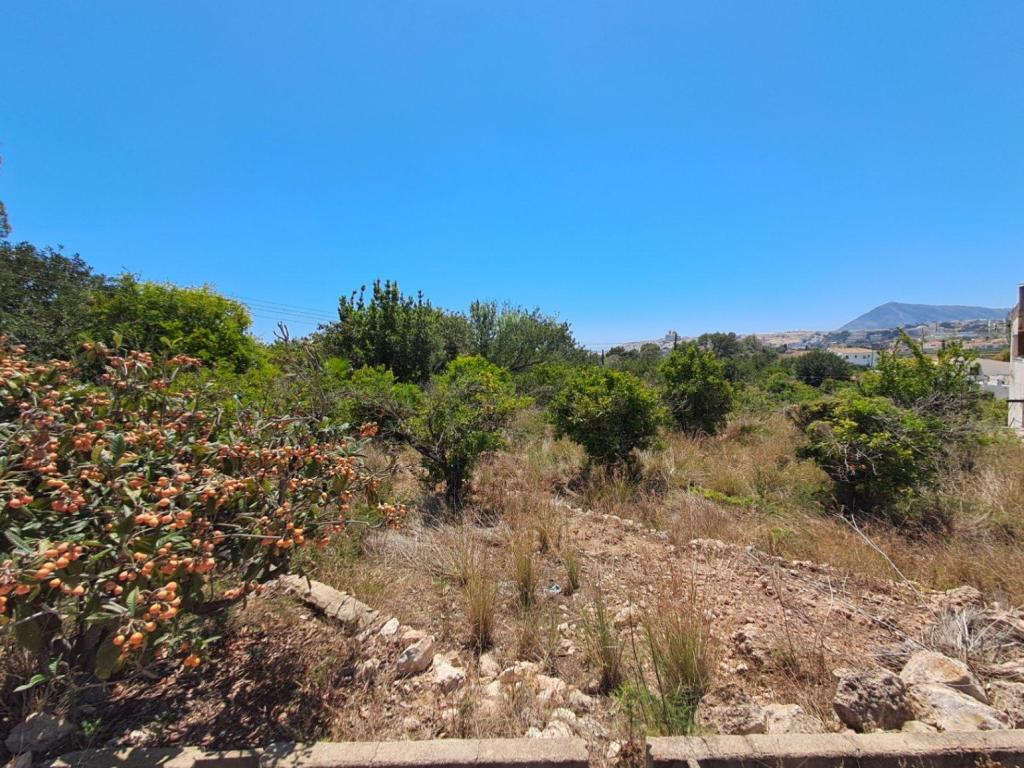 plot in Altea