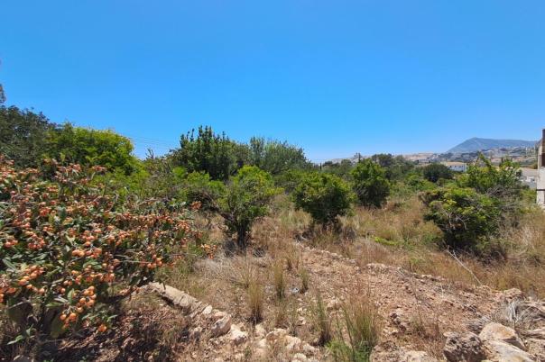 plot in Altea