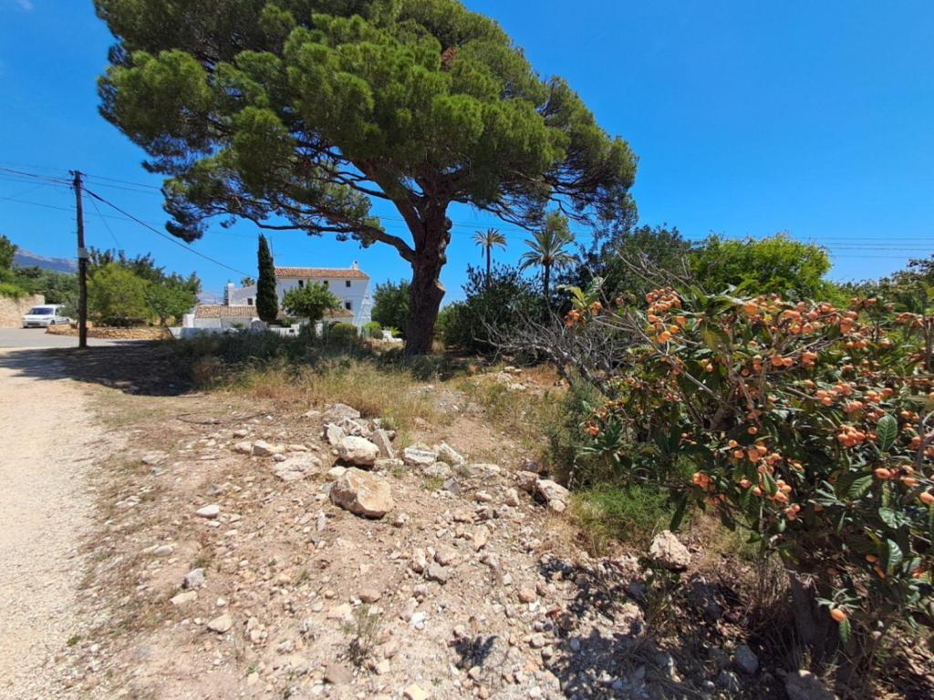 plot in Altea