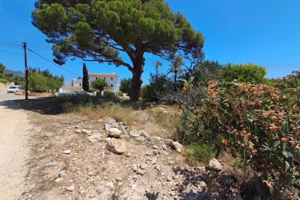plot in Altea