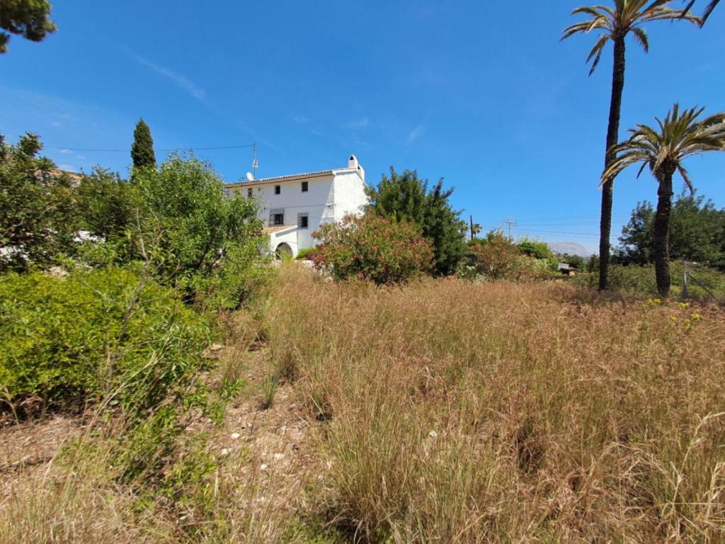 plot in Altea