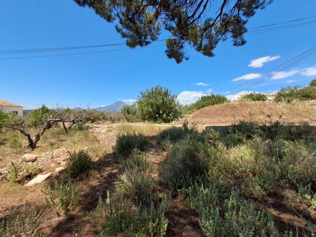 plot in Altea
