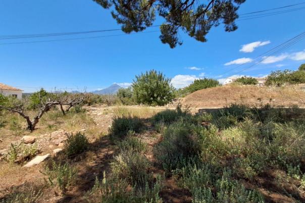 plot in Altea