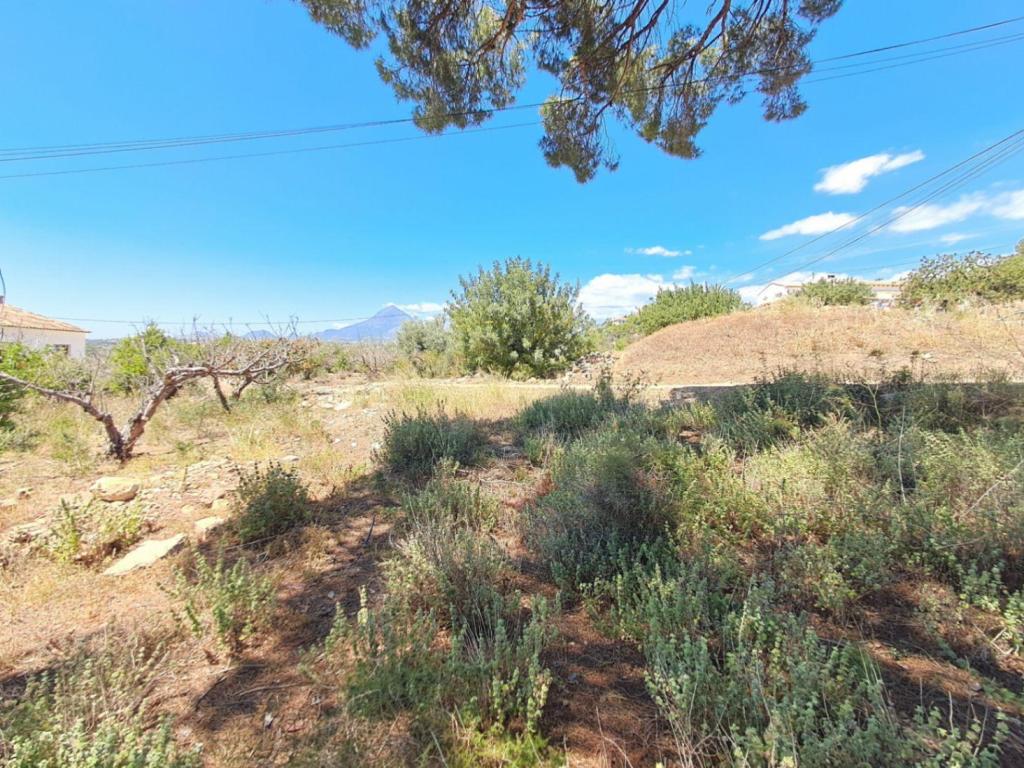 plot in Altea