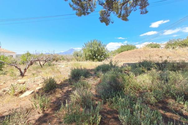 plot in Altea