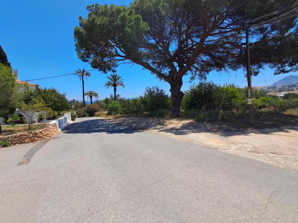 plot in Altea