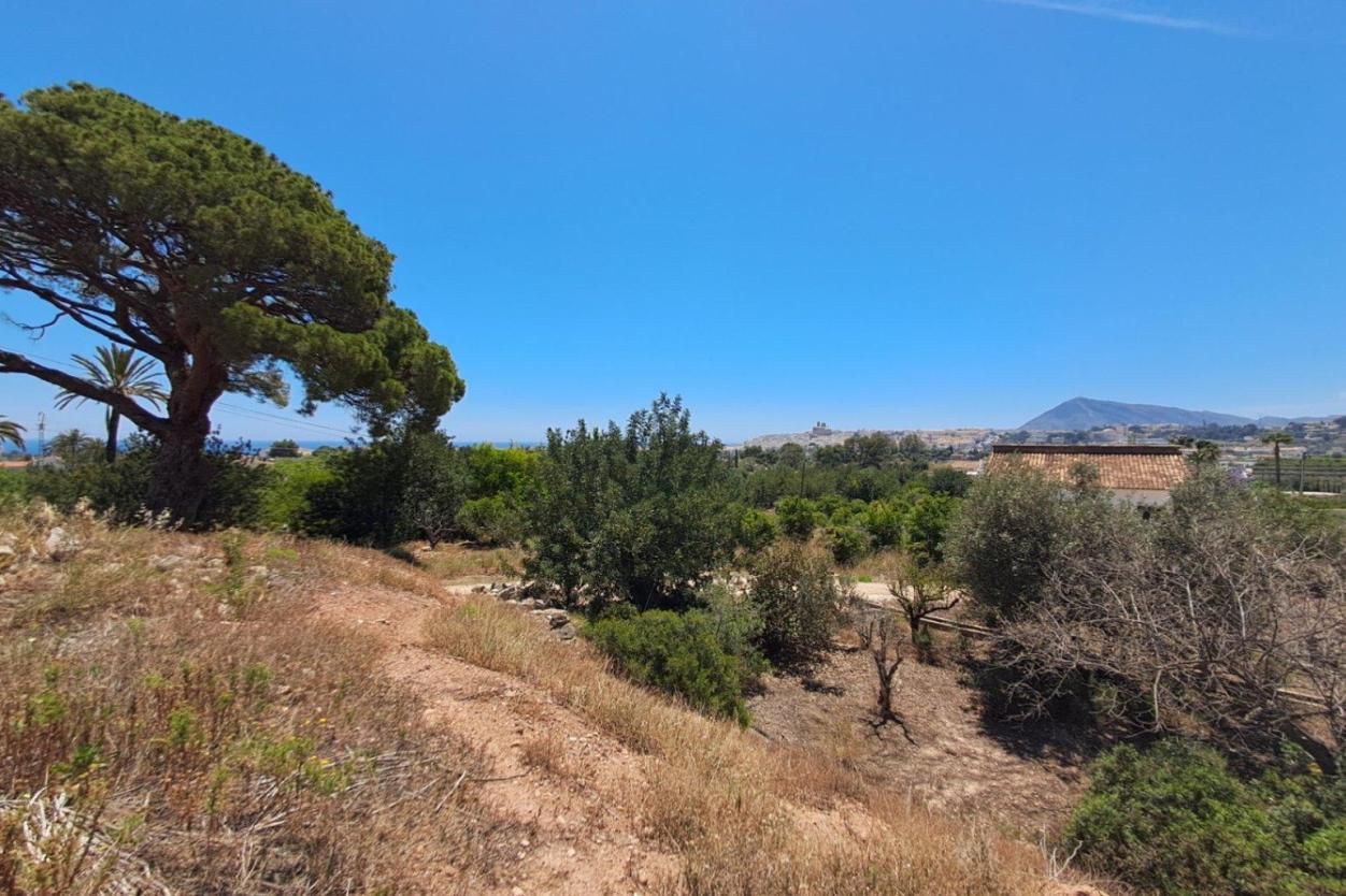 plot in Altea