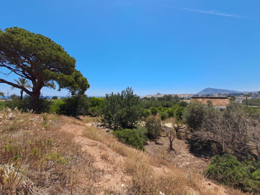 plot in Altea