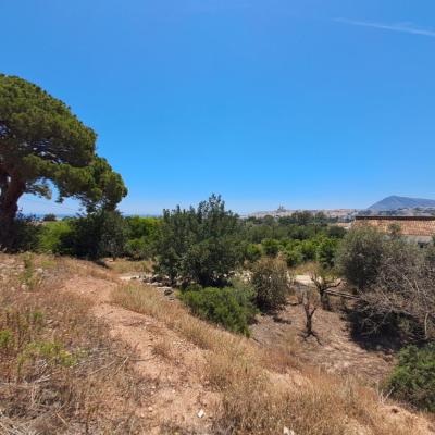 plot in Altea