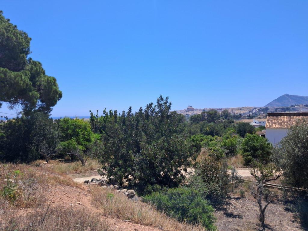 plot in Altea