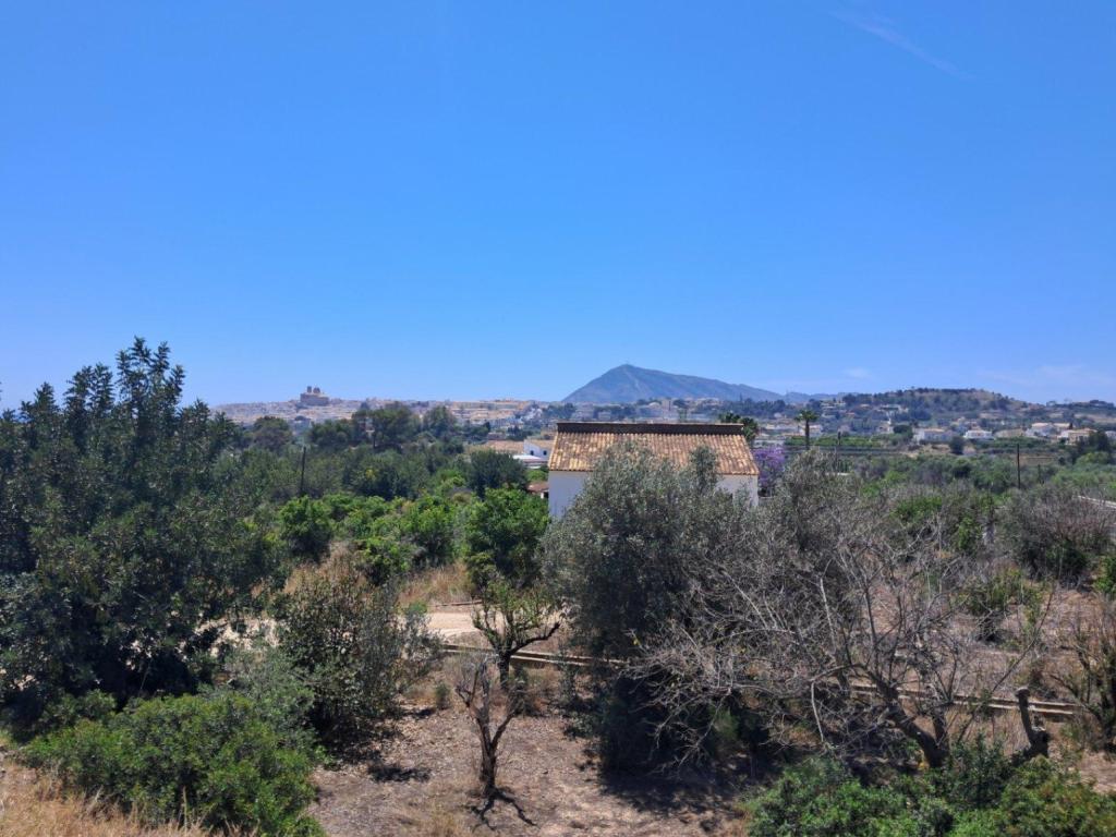 plot in Altea