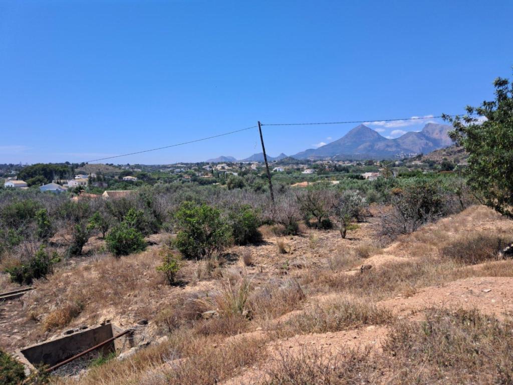 plot in Altea