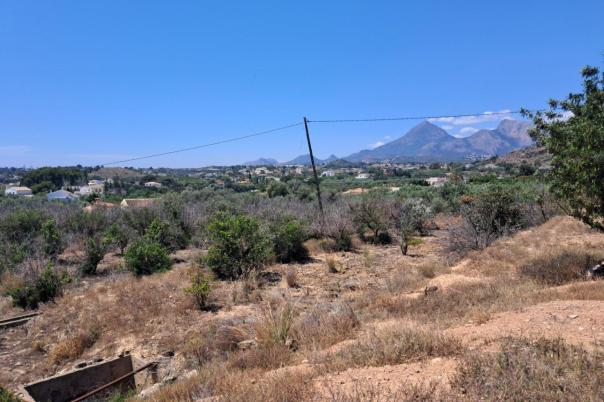 plot in Altea