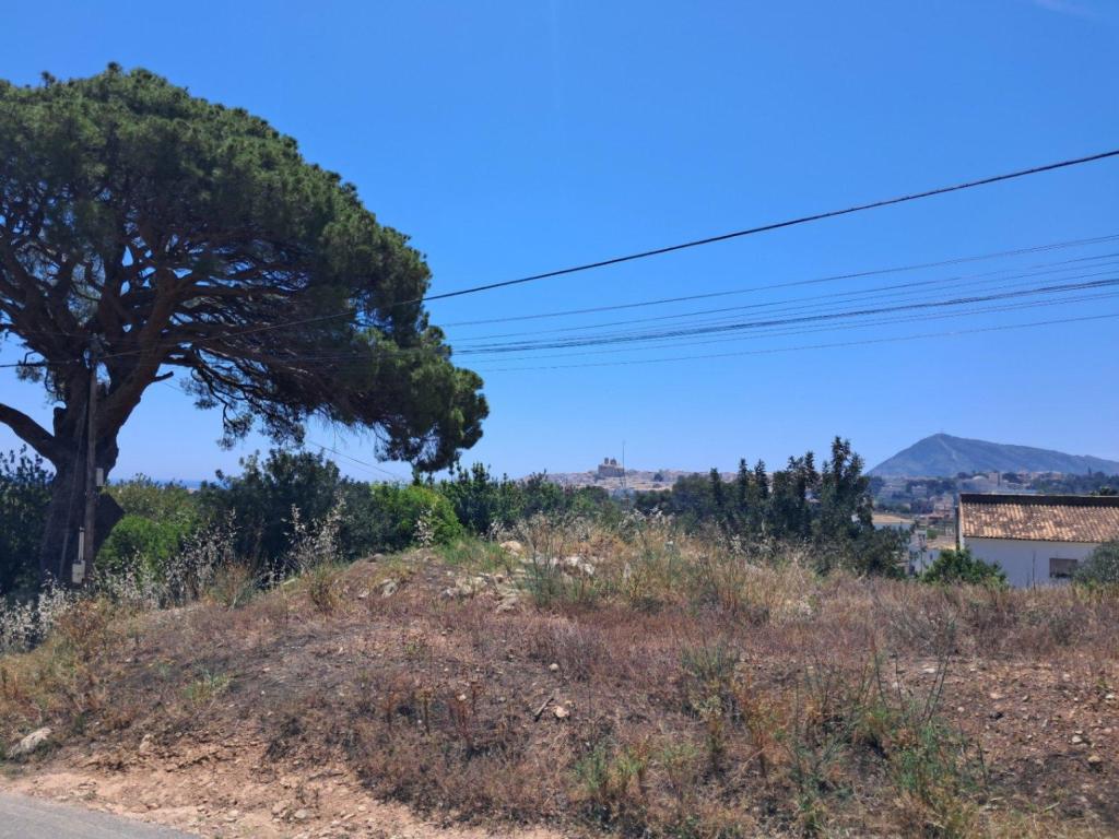 plot in Altea