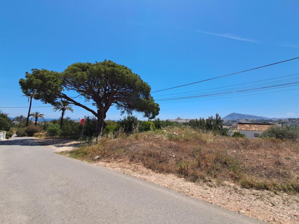 plot in Altea