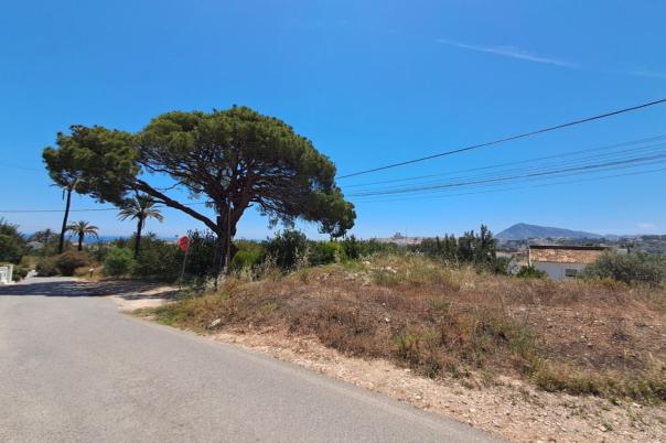 plot in Altea