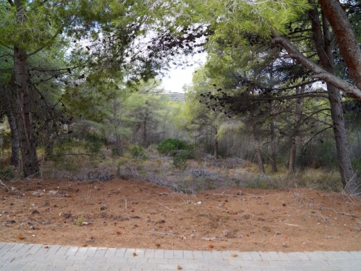 plots of land in Moraira