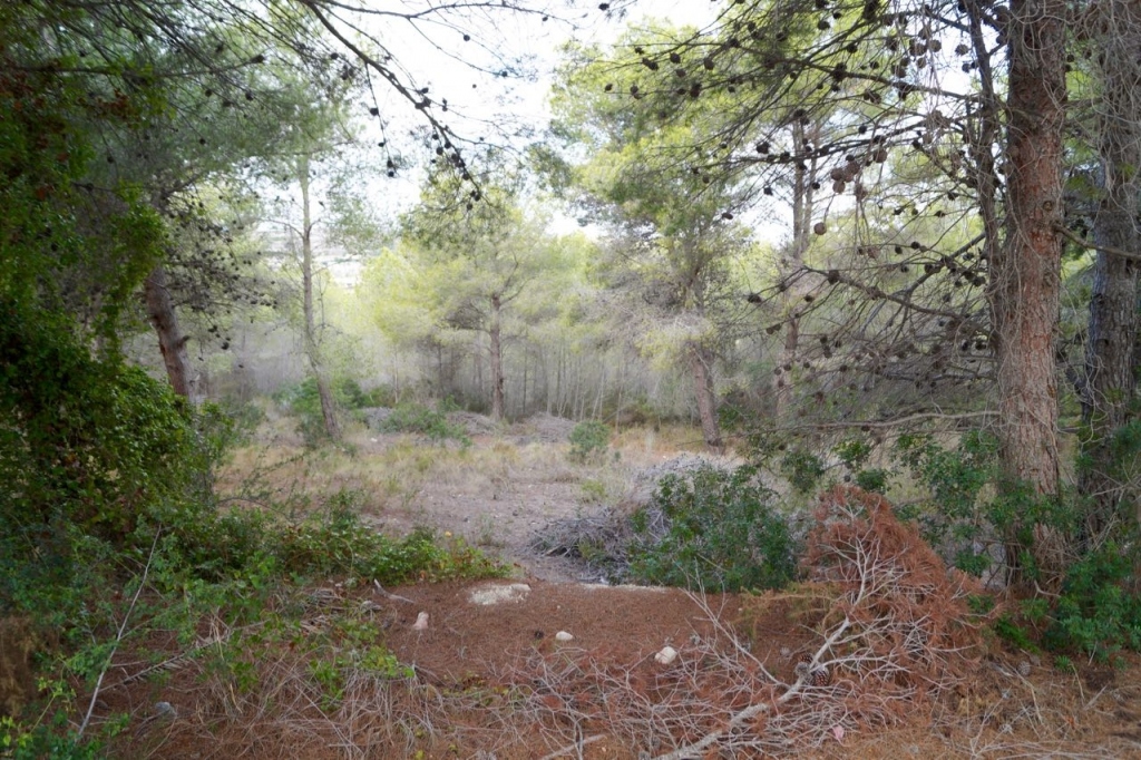 plots of land in Moraira