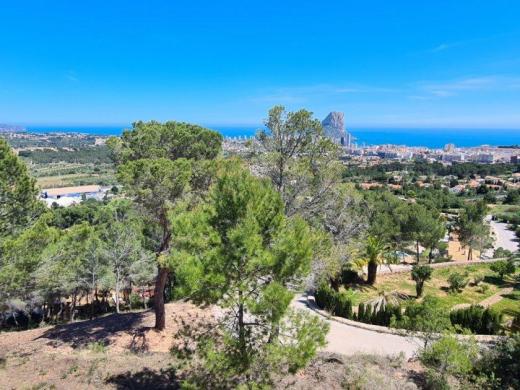 plot in Calpe