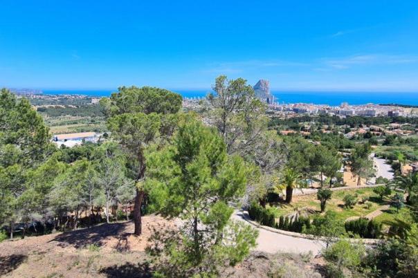 plot in Calpe