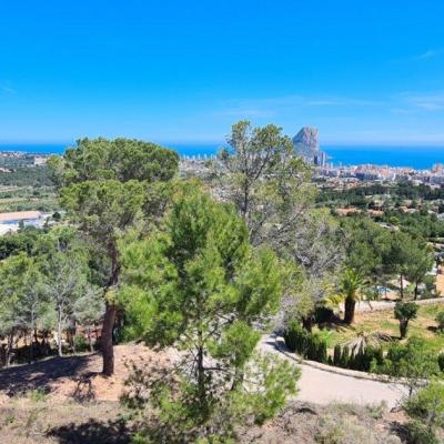 plot in Calpe