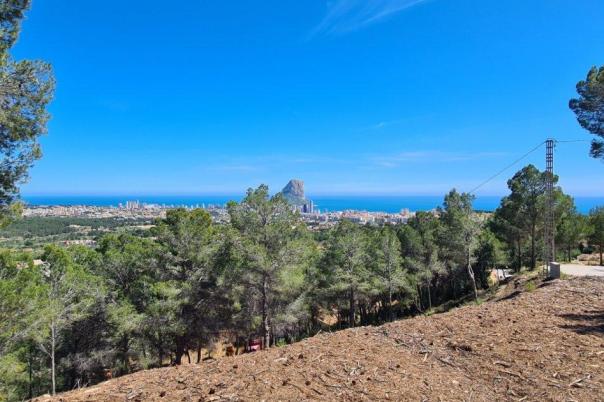 plot in Calpe