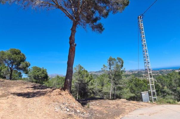 plot in Calpe
