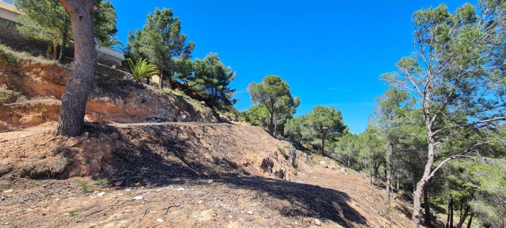 plot in Calpe