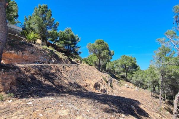plot in Calpe