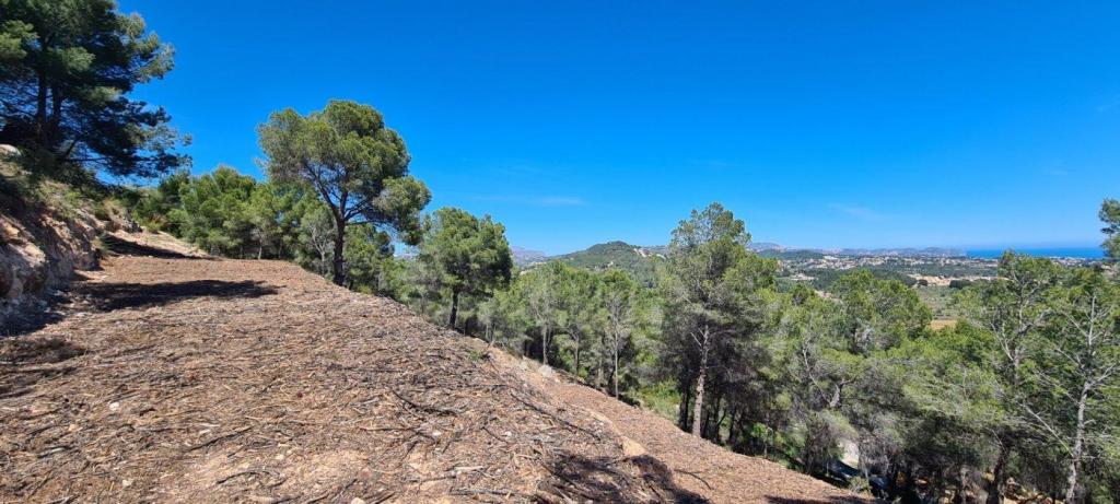 plot in Calpe