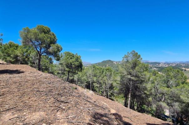 plot in Calpe