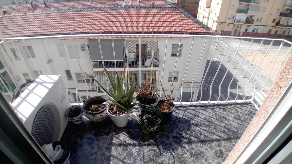 2 bed apartment in Elche/Elx