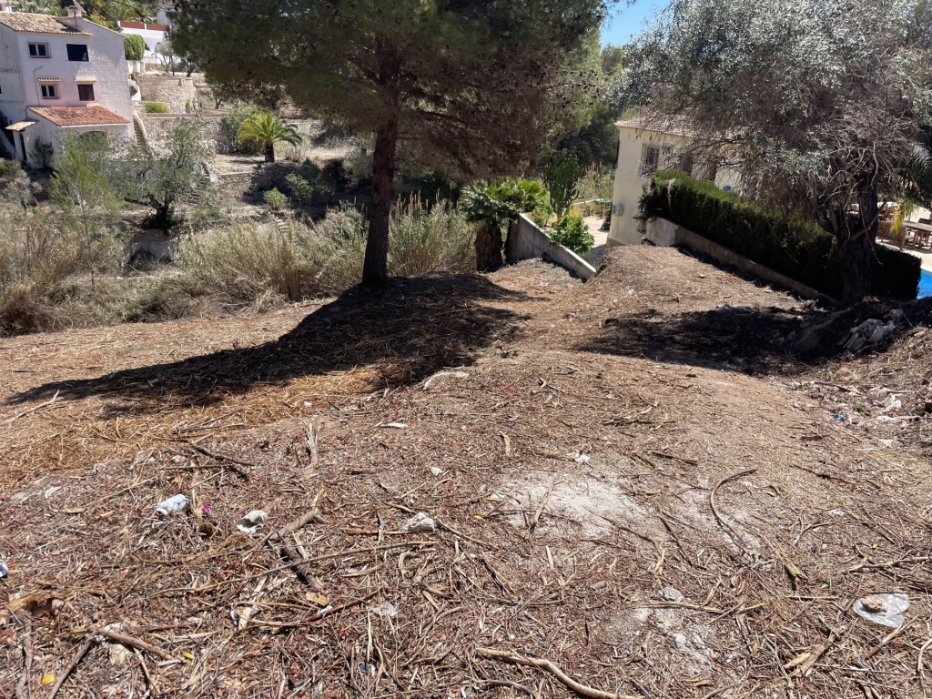 plot in Benissa