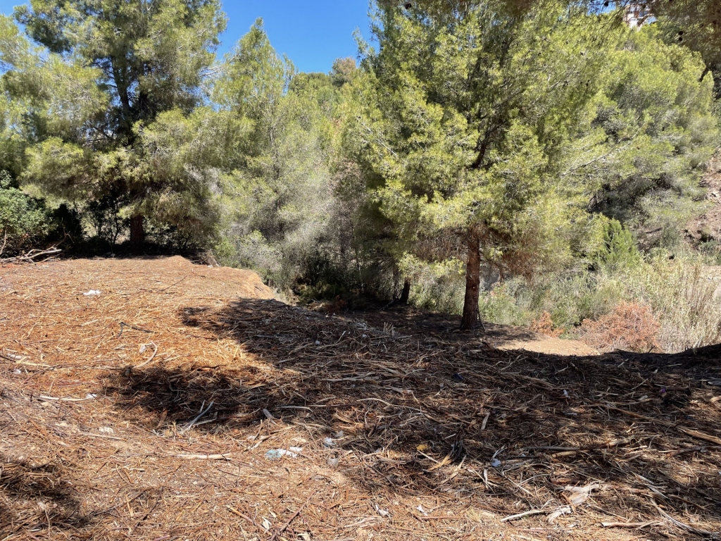 plot in Benissa