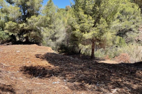 plot in Benissa