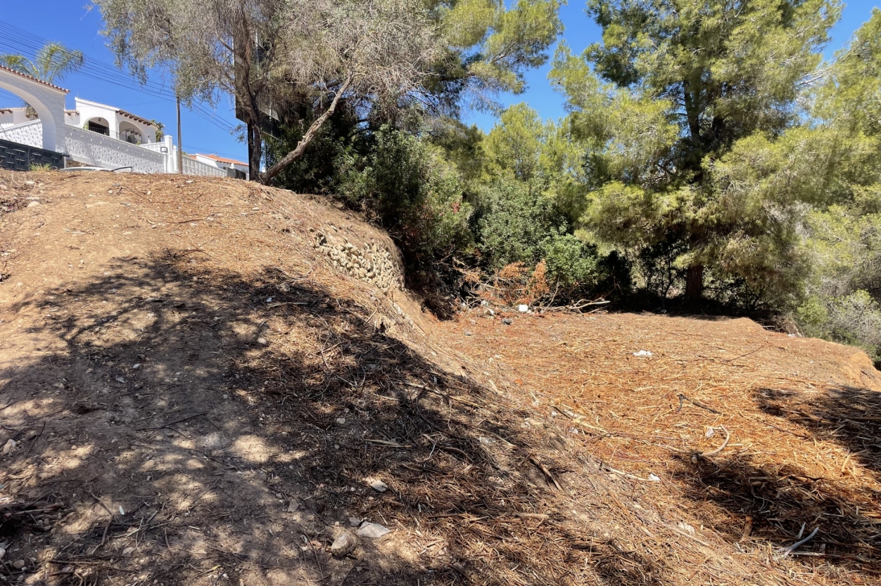 plot in Benissa